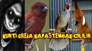 Download lagu MASTERAN KUNTILANAK GREJA CILILIN KAPAS TEMBAK !!TERBARU MUDAH DITIRU ! mp3 Download lagu MASTERAN KUNTILANAK GREJA CILILIN KAPAS TEMBAK !!TERBARU MUDAH DITIRU ! mp3