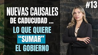 #13 Nuevas causales de caducidad,lo que quiere "sumar"el Gobierno al sector