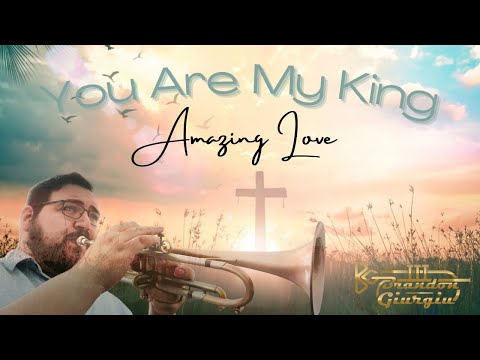 You Are My King (Amazing Love): Trumpet Cover