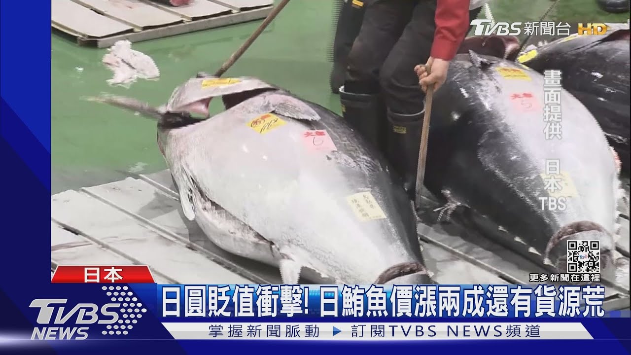 日圓貶值衝擊！日本貿易商搶輸鮪魚、鯖魚　超市現斷貨危機