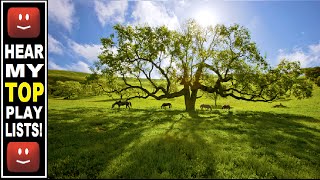 EDDY Arnold 🐂 "Cattle Call" in Round Up Power Stereo!!