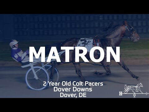 2019 Matron - Papi Rob Hanover - 2YO Colt Pace