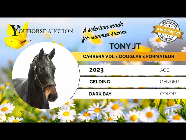 Tony JT