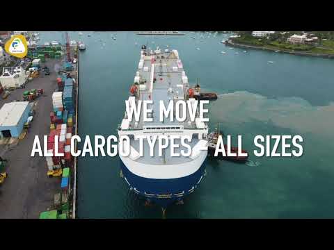 Pontus Freight India Pvt Ltd - Company Introduction