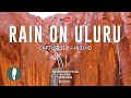 Nature S Rare Spectacle Captured On Camera Uluru In The Rain Australia Outback 4K
