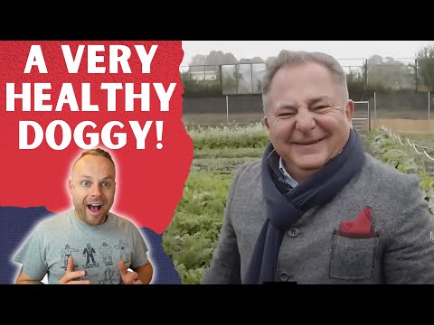 Englishman Reacts to... Polish Memes with context Pt2