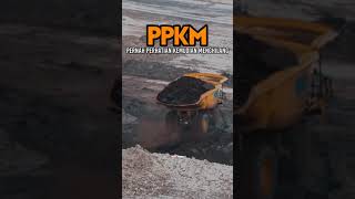 Download lagu STORY WA 30 DETIK VERSI ANAK TAMBANG mp3