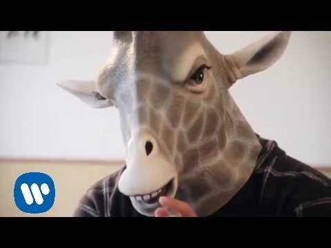 John Berkhout - Short Necked Giraffe (Videoclip oficial)