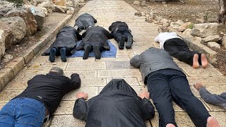 עלו עימנו להר הבית לאורכו של יום גשמים  (ישיבת הר הבית) - התמונה מוצגת ישירות מתוך אתר האינטרנט יוטיוב. זכויות היוצרים בתמונה שייכות ליוצרה. קישור קרדיט למקור התוכן נמצא בתוך דף הסרטון