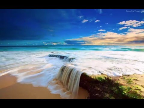 OLWIK & Terri B! - Fight No More