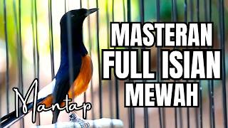 Download lagu MURAI BATU GACOR FULL ISIAN TEMBAKAN MEWAH SANGAT AMPUH MELATIH MURAI BATU EMOSI BONGKAR ISIAN mp3