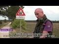 Boswachters maken zich zorgen om vele overreden adders