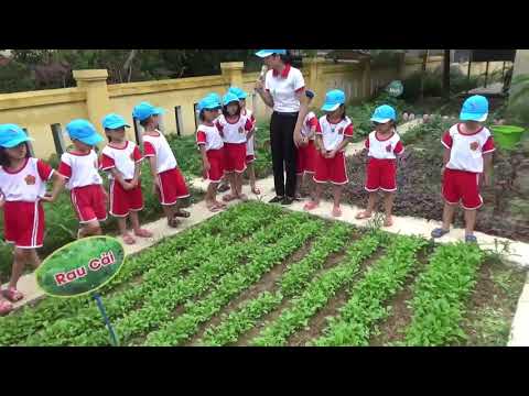 CHUYÊN ĐỀ: TỔ CHỨC HOẠT ĐỘNG NGOÀI TRỜI CHO TRẺ MG 5-6 TUỔI