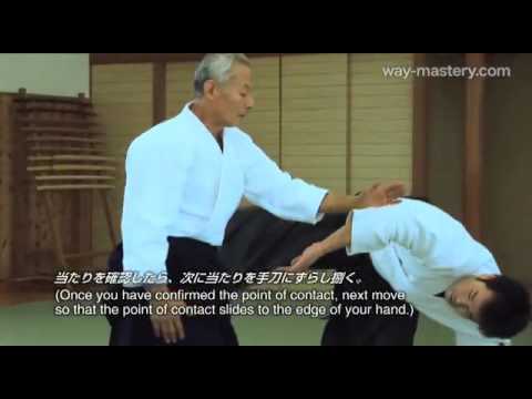 YouTube   Sabaki and Tsukai 16 Seishiro Endo Shihan 捌きと使い16 遠藤征四郎 師範