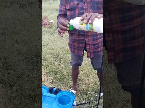 iffco nano urea (liquid) fertilizer spray in kapass #farming #farming #youtube #shorts