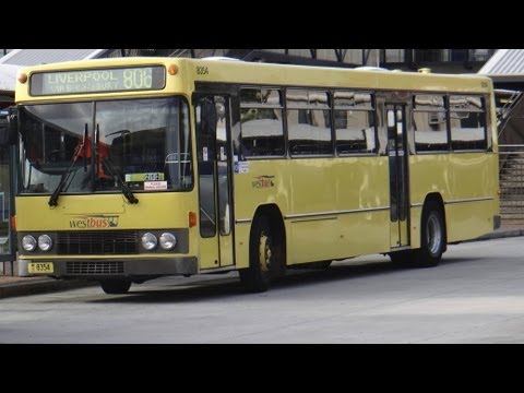 CDC NSW m/o 8354 - Volvo B10M Mk3 (ZF/Custom Coaches)