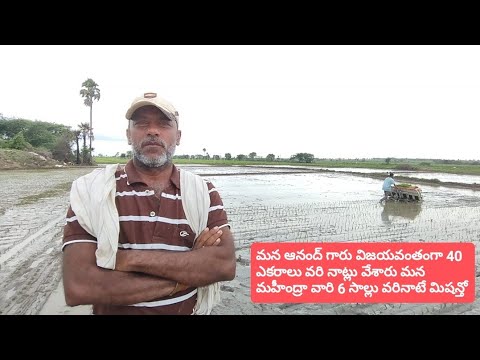 Mahindra paddy Walker 6RO, For Agriculture & Farming