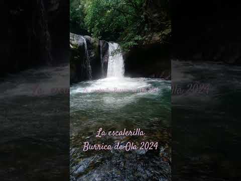 Cascadas  la  escalerilla   Burrica  de  Ola  cocle  panama octubre  2024