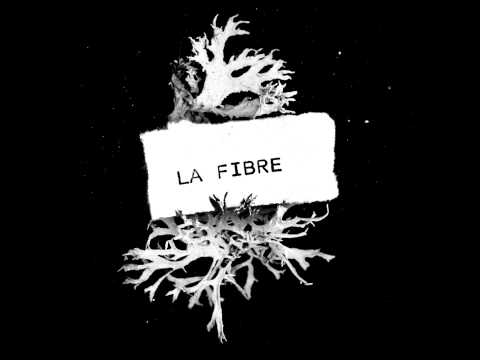 LA FIBRE - Anonymous propaganda