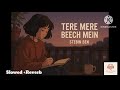 Tere Mere Beech Mein Love Lofi Music Stebin Ben New Bollywood Song 2025 Himesh Reshammiya Hit
