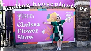 come with me to the RHS Chelsea Flower Show 🌸
