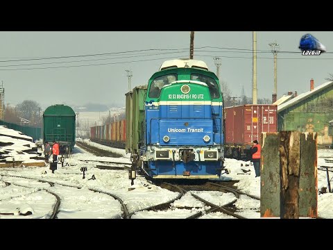 LDH1250 843818-1 pe Ecartament de 1520 mm Gauge in Gara Dornești Station - 10 February 2021