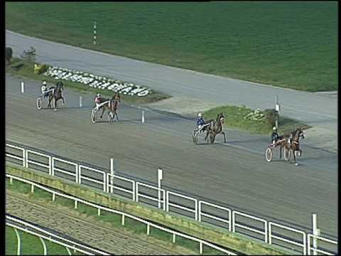 Trotto 11/10/2016 - 2ª prova di qualifica