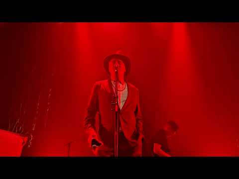 Peter DOHERTY - "Last of the English Roses" - Stereolux NANTES / 31.01.2026
