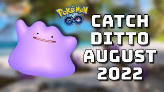 How to catch ditto In Pokémon Go August 2022