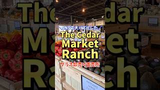 【ダラス観光】2025年にSNSで大バズり！The Cedar Market Ranch