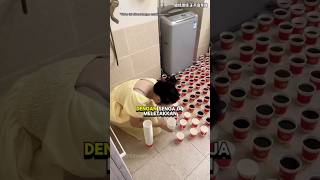 Download lagu Aksi jahil terniat wanita ini dgn 1000 kopi 😱 mp3