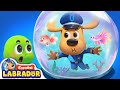Sheriff Labrador Increíble Pez Amigo Videos Para Niños BabyBus En Español