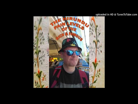 the hirundu - Pain Levels Of The Rich And Famous - 04 We Shall Have Rain (Lights On The Water)