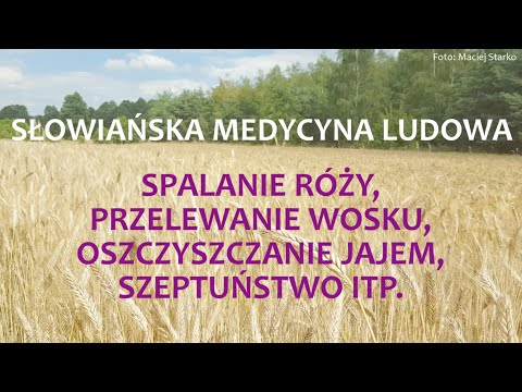 Preparatów ziołowych, które zwiększają potencjał Wpływ na siły absyntu