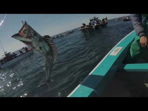 Ep 48 - Yzerfontein snoek Fv NINA | From my Laaitjie