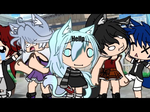 °{Segura o meu poodle}°(Misty-Chan)•|Meme|•