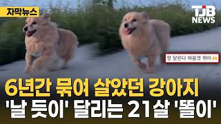6년간 방치되어 있던 강아지