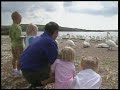 Teletubbies Swans Clip4