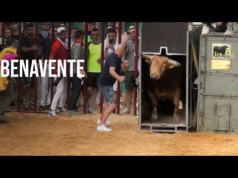 Benavente 2024 Toro del Cajón