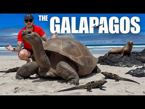 Exploring the Heart of the Galapagos - Santa Cruz