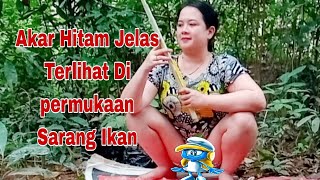 Download lagu J3mb*tt ikan tawes gak sengaja kerekam mp3 Download lagu J3mb*tt ikan tawes gak sengaja kerekam mp3