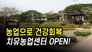 “농업으로 건강회복해요”... 경기도치유농업센터 11일 개관