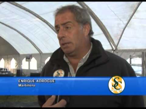 ENRIQUE ADROGUE - Cabaña Tres Marias - Gandera Azul S.R.L. - Benito Juarez - 16/08/2013