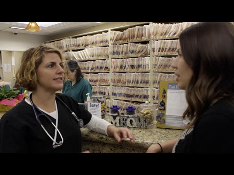 AVMA Resources Help Veterinarians Keep Clients Informed, Educated