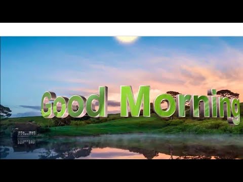 Good Morning Status Good Morning Whatsapp Status Video Good