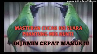 Download lagu MASTERAN UNTUK CUCAK IJO ANDA. IJO ISIAN PIJANTUNG MIX KUNTI.SUARA JERNIH!!! mp3