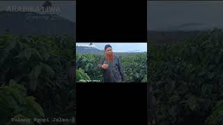 Download lagu ARABIKA LIWA, De Tino Copee Sekincau Lampung Barat #tnjj mp3