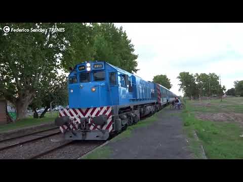 Trenes ARGENTINOS por DOMSELAAR | Tren a MAR DEL PLATA y CHASCOMÚS