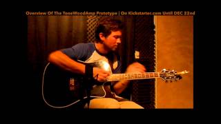 Jake Allen Extended Demo - How to use the ToneWoodAmp effects