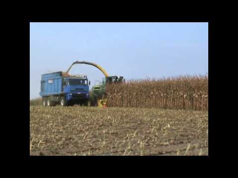 Loonw. Druelle - Proven